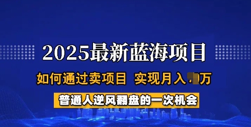 2025蓝海项目，普通人如何通过卖项目，实现月入过W，全过程【揭秘】-源创极客