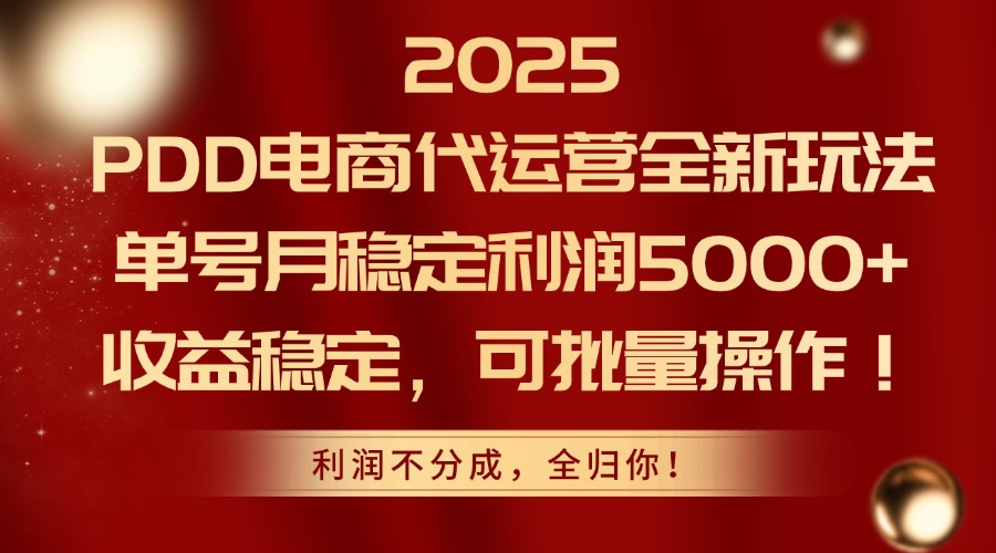2025PDD电商代运营全新玩法，单号月稳定利润5000+，收益稳定，可批量操作-源创极客