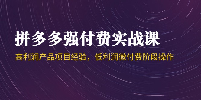 拼多多强付费实战课-44期，高利润产品项目经验，低利润微付费阶段操作-源创极客