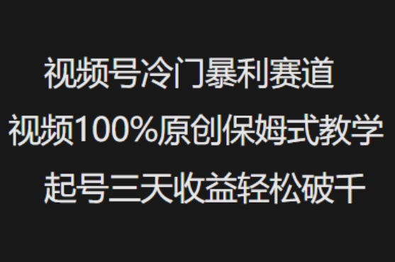 视频号冷门暴利赛道视频100%原创保姆式教学起号三天收益轻松破千-源创极客