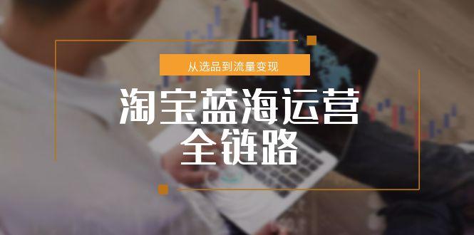 淘宝蓝海运营全链路，从选品到流量变现，小类目突围完整方案-源创极客