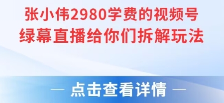 张小伟2980付费额视频号绿幕直播给你们拆解玩法-源创极客