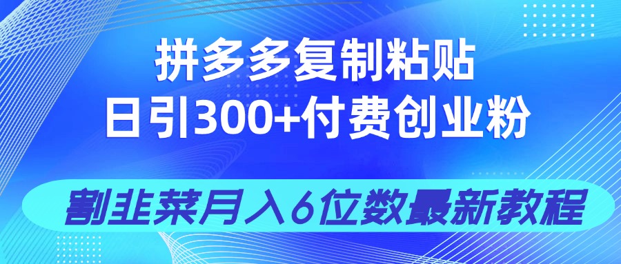 拼多多复制粘贴日引300+付费创业粉，割韭菜月入6位数最新教程！-源创极客