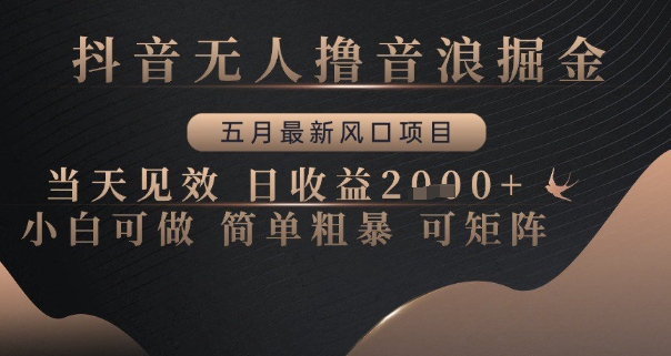 抖音无人撸音浪掘金，五月最新风口项目，当天见效，日收益多张，小白可做简单粗暴可矩阵【揭秘】-源创极客