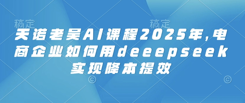 天诺老吴AI课程2025年，电商企业如何用deeepseek实现降本提效-源创极客