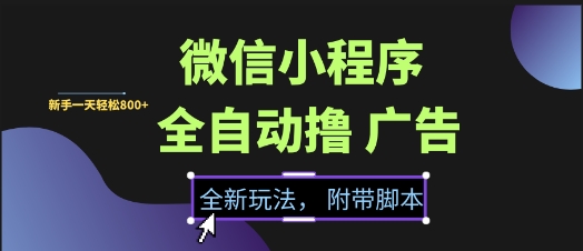 微信小程序全自动撸广告项目，彻底解决没流量的问题，新手一天8张+【揭秘】-源创极客
