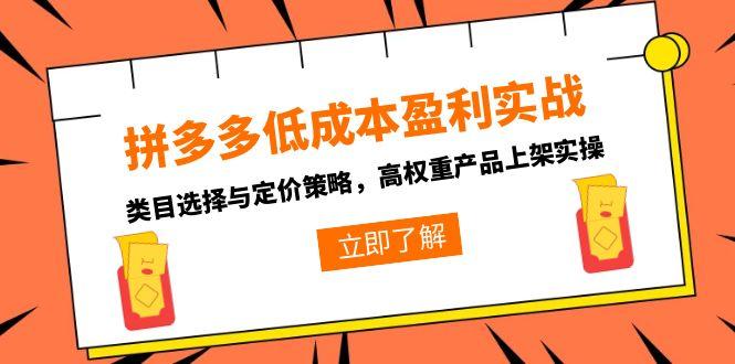 拼多多低成本盈利实战，类目选择与定价策略，高权重产品上架实操-源创极客