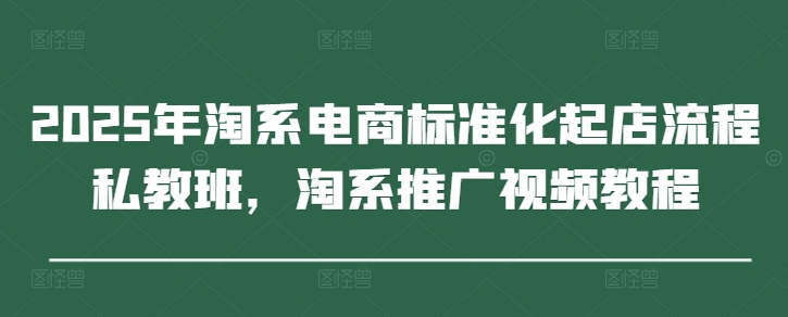 2025年淘系电商标准化起店流程私教班，淘系推广视频教程-源创极客