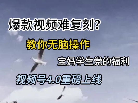 视频号4.0重磅上线，爆款视频难复刻？教你无脑操作宝妈学生党的福利【揭秘】-源创极客