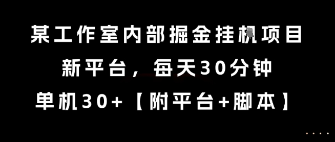 某工作室内部掘金挂G项目，新平台，每天30分钟，单机30+【揭秘】-源创极客