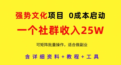 强势文化项目，一个社群收入25个W，0成本启动，可矩阵批量操作，原创详细实操教程-源创极客