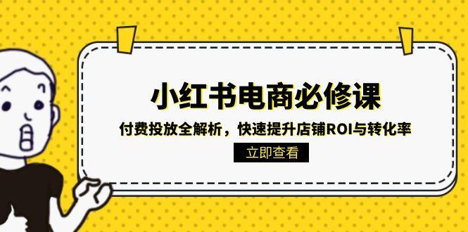 小红书电商必修课：付费投放全解析，快速提升店铺ROI与转化率-源创极客