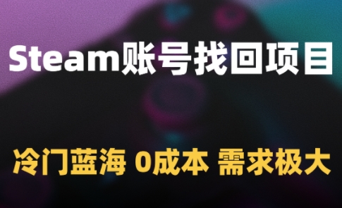 Steam账号找回项目，冷门蓝海，0成本，需求极大-源创极客