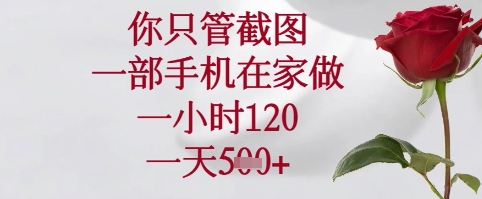 你只管截图，一部手机在家可以做，一小时120.一天5张+【揭秘】-源创极客