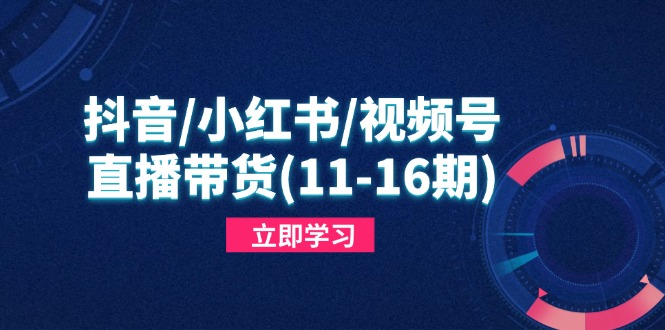 抖音/小红书/视频号/直播带货(11-16期-源创极客