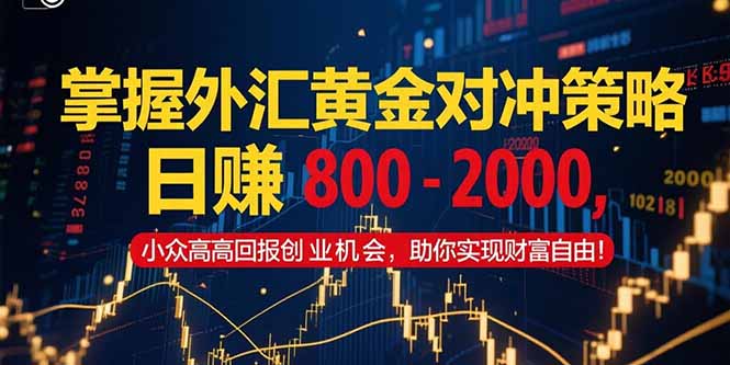 掌握外汇黄金对冲策略，日赚 800 - 2000，小众高回报创业机会，助你实...-源创极客
