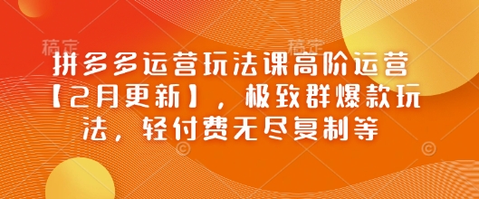 拼多多运营玩法课高阶运营【2月更新】，极致群爆款玩法，轻付费无尽复制等-源创极客