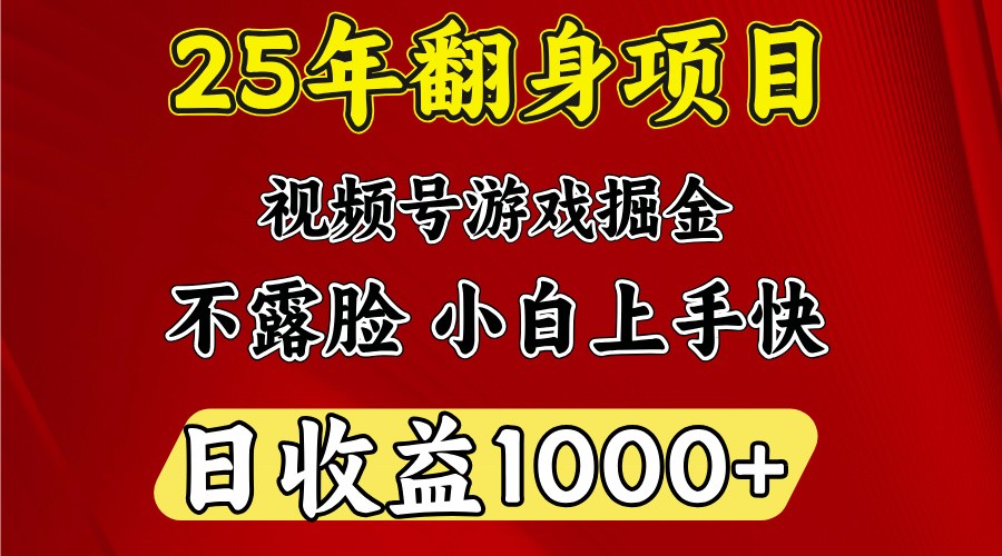 一天收益1000+ 25年开年落地好项目-源创极客