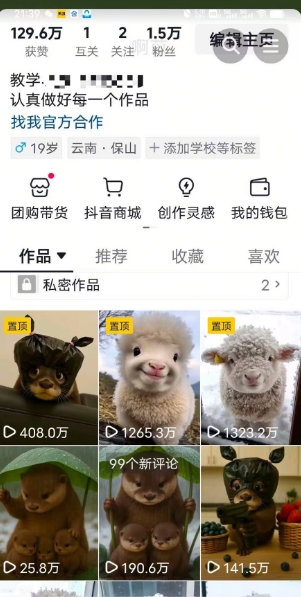 抖音65W博主AI萌宠课程，新赛道流量大，原创+二创，全套课程+提示词-源创极客