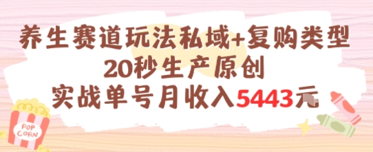 养生赛道玩法私域+复购类型，20秒生产原创实战单号月收入5k+-源创极客