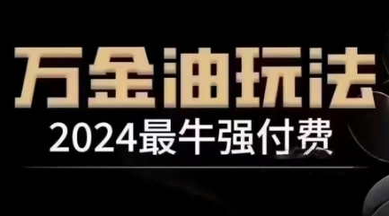 2024最牛强付费，万金油强付费玩法，干货满满，全程实操起飞(更新25年04月)-源创极客