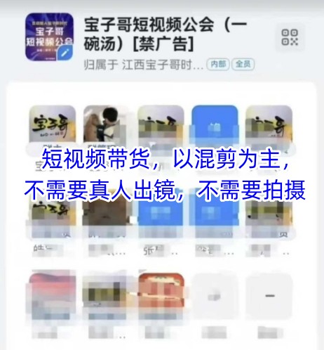 宝子哥头部团队短视频带货，以混剪为主，不需要真人出镜，不需要拍摄【更新6月】-源创极客