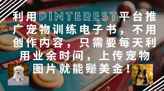 利用Pinterest平台推广宠物训练电子书，不用创作内容，只需要每天利用业余时间，上传宠物图片就能挣美金!-源创极客