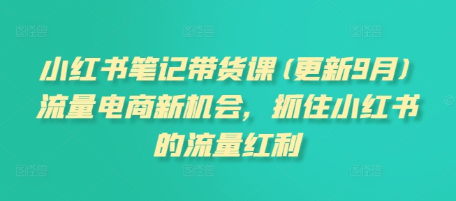 小红书笔记带货课(更新25年6月)流量电商新机会，抓住小红书的流量红利-源创极客