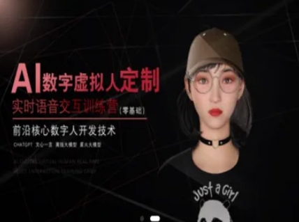 AI数字虚拟人定制，实时语音交互训练营(零基础)，前沿核心数字人开发技术-源创极客