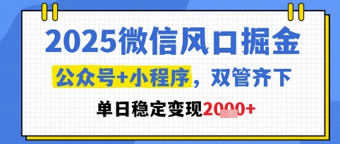 2025微信风口掘金，公众号+小程序双管齐下，单日稳定变现1k+【揭秘】-源创极客
