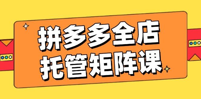 拼多多全店托管矩阵课，盈利动销玩法，高效计划设置，提升店铺效益-源创极客