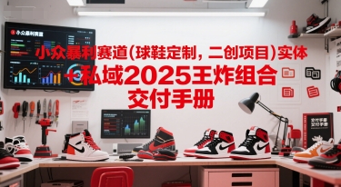 小众暴利赛道(球鞋定制，二创项目)实体+私域2025王炸组合  交付手册-源创极客