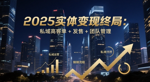 2025实体变现终局：私域高客单+发售+团队管理-源创极客