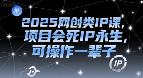 2025网创类IP课，项目会死IP永生，可操作一辈子-源创极客