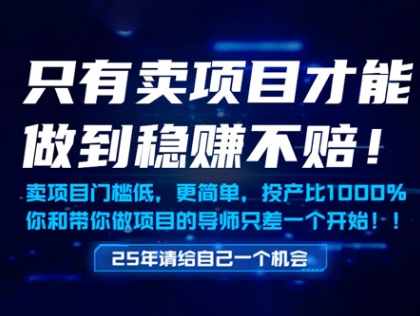 只有卖项目才能做到稳挣不赔，门槛低，更简单，你也可以年入百个W【揭秘】-源创极客