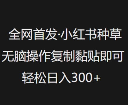 全网首发，小红书种草无脑操作，复制黏贴即可，轻松日入3张-源创极客