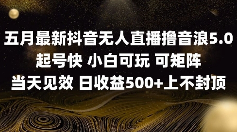 2025五月最新无人直播撸音浪单日产出5张+实操教程【揭秘】-源创极客