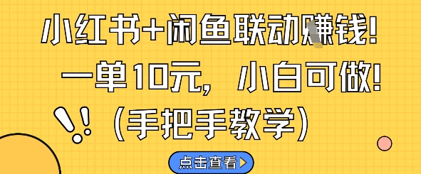 小红书+闲鱼联动挣钱，一单10元，小白可做-源创极客