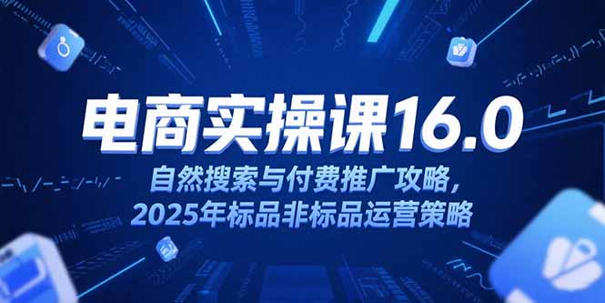 淘宝电商运营课16.0，自然搜索与付费推广攻略，2025年标品非标品运营策略-源创极客