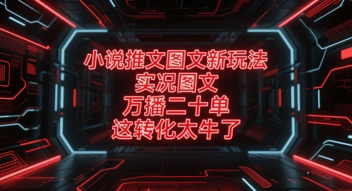 小说推文图文新玩法，实况图文，万播二十单，这转化太牛了！-源创极客
