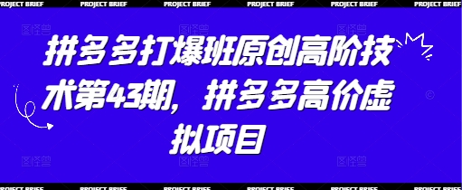 拼多多打爆班原创高阶技术第43期，拼多多高价虚拟项目-源创极客