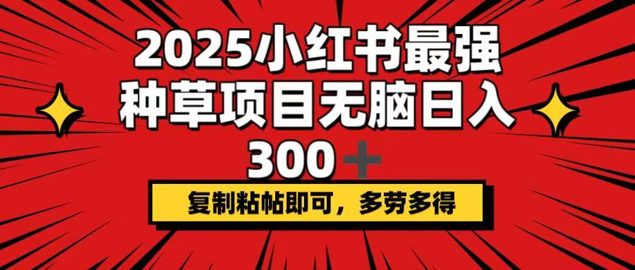 2025小红书最强种草项目，无脑日入300+，复制粘帖即可，多劳多得-源创极客