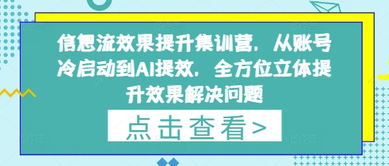 信息流效果提升集训营，从账号冷启动到AI提效，全方位立体提升效果解决问题-源创极客