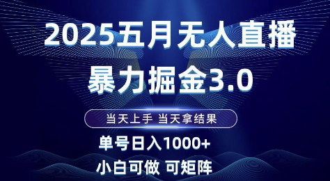2025五月无人直播暴力掘金3.0，当天上手，当天拿结果，单号日入1k+小白可做可矩阵【揭秘】-源创极客