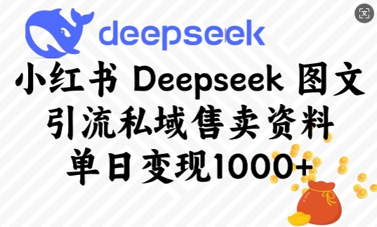 小红书Deepseek图文引流私域售卖资料，单日变现多张-源创极客