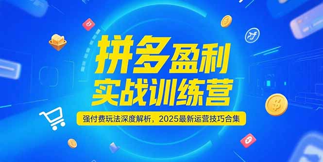 拼多多盈利实战训练营，强付费玩法深度解析，2025运营技巧合集-更新6月-源创极客