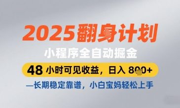 2025小程序全自动掘金，48 小时可见收益，日入8张，长期稳定靠谱，小白宝妈轻松上手【揭秘】-源创极客