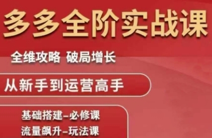 拼多多全阶实战课程，全维攻略，破局增长，从新手到运营高手-源创极客