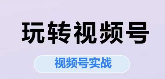 玩转视频号，视频号实战系列课-源创极客