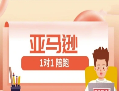 亚马逊1对1陪跑课(FBA/FBM精铺)跨境亚马逊教程-源创极客